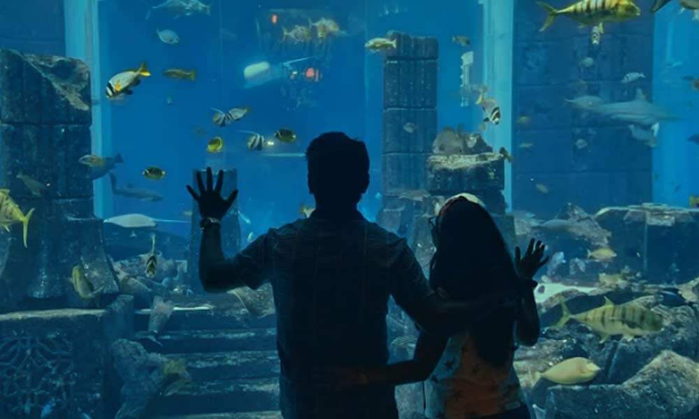 Visit Lost Chambers Aquarium