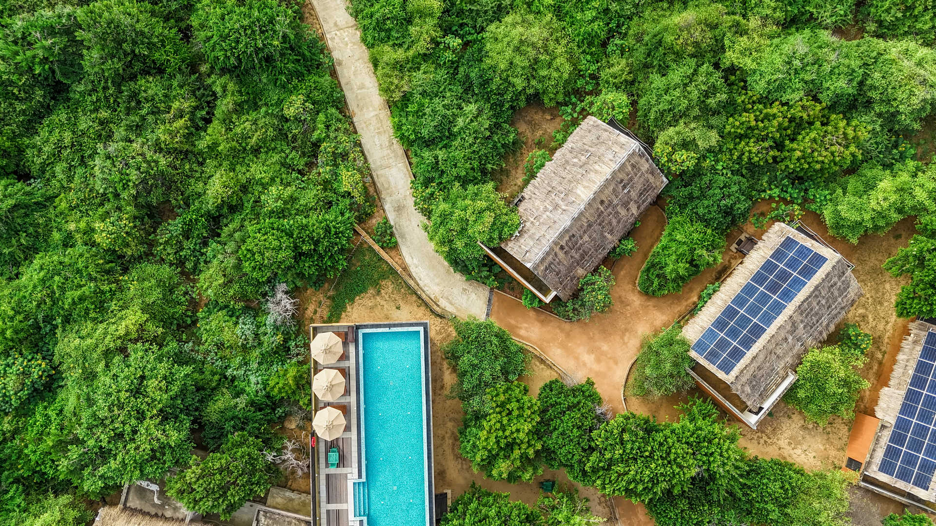 jetwing jungle lodge