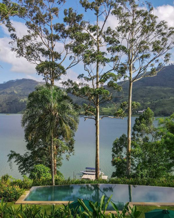 summerville-by-ceylon-tea-trails