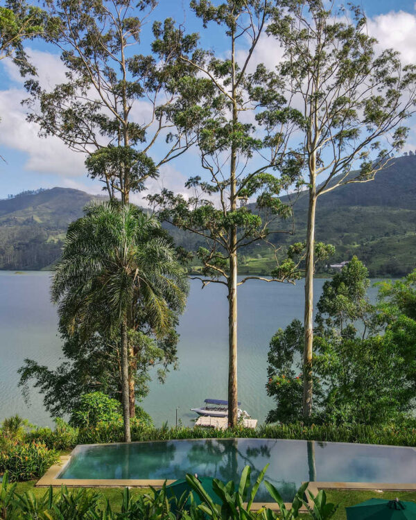 summerville-by-ceylon-tea-trails