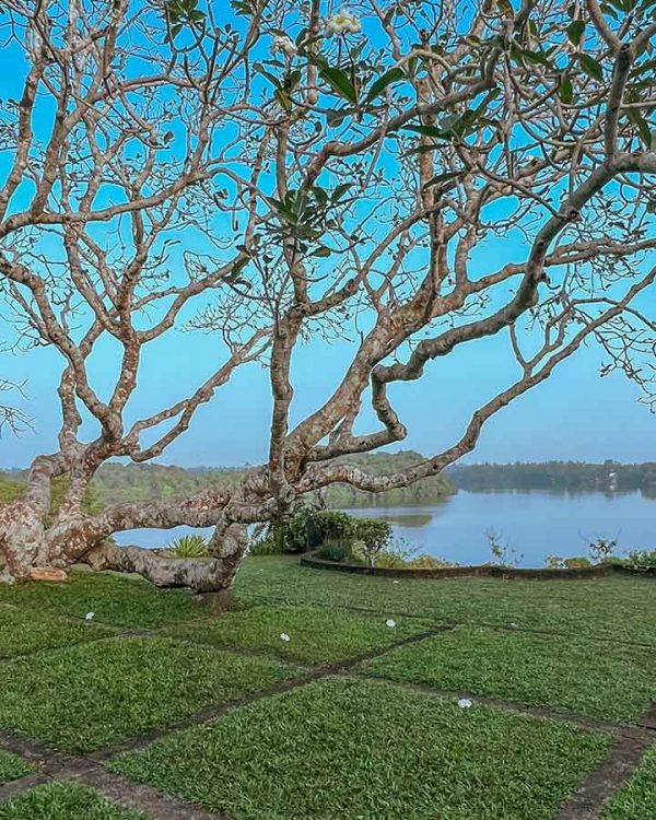 wau-lunuganga